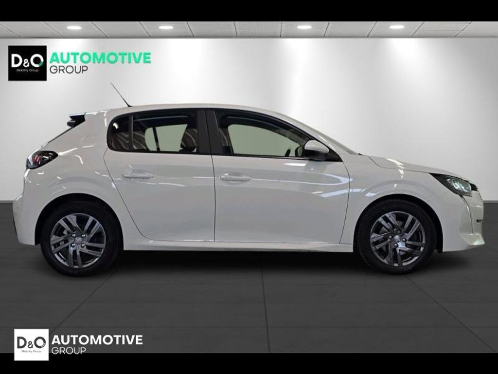 48830295-3.jpg