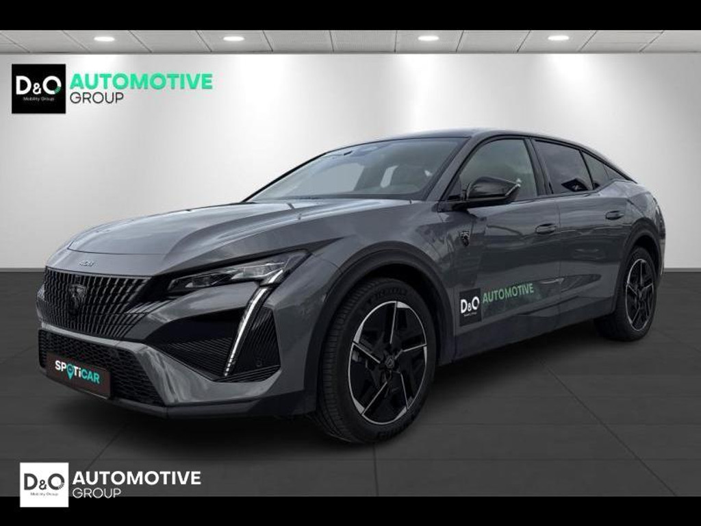 52531697
