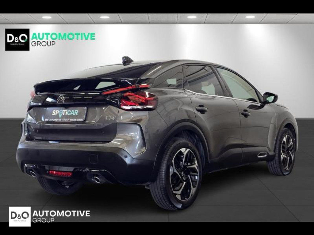53030089-2.jpg