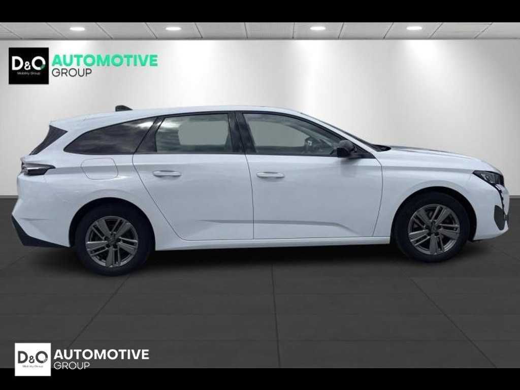 54416303-3.jpg