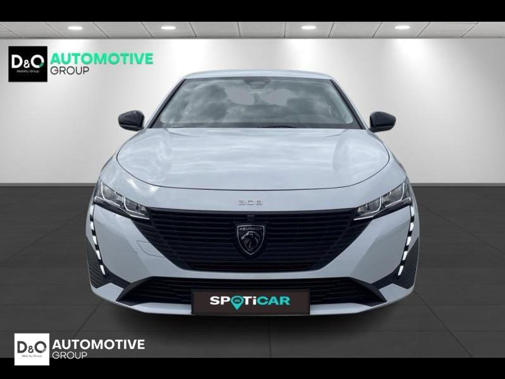 54416303-4.jpg