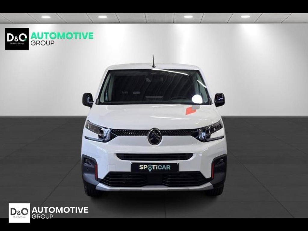 54542419-4.jpg