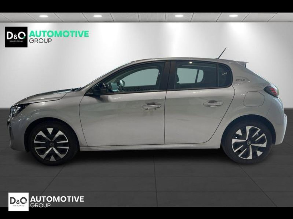 55356234-3.jpg