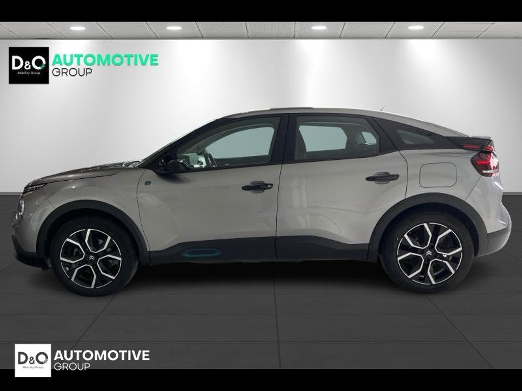 56332079-3.jpg