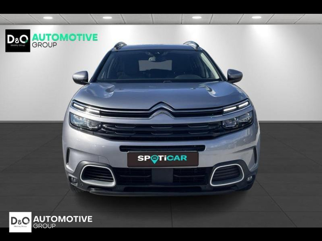 56332121-4.jpg