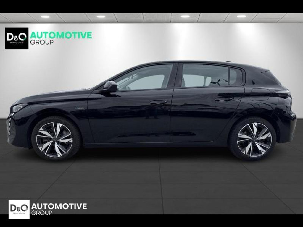 56911586-3.jpg