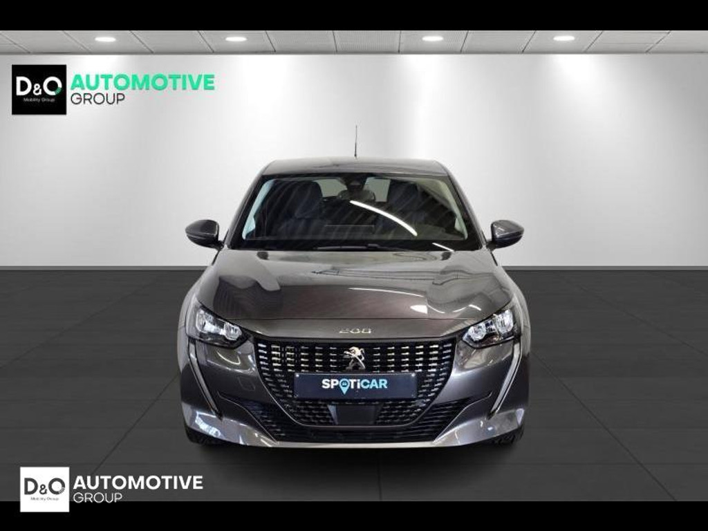 56938181-4.jpg