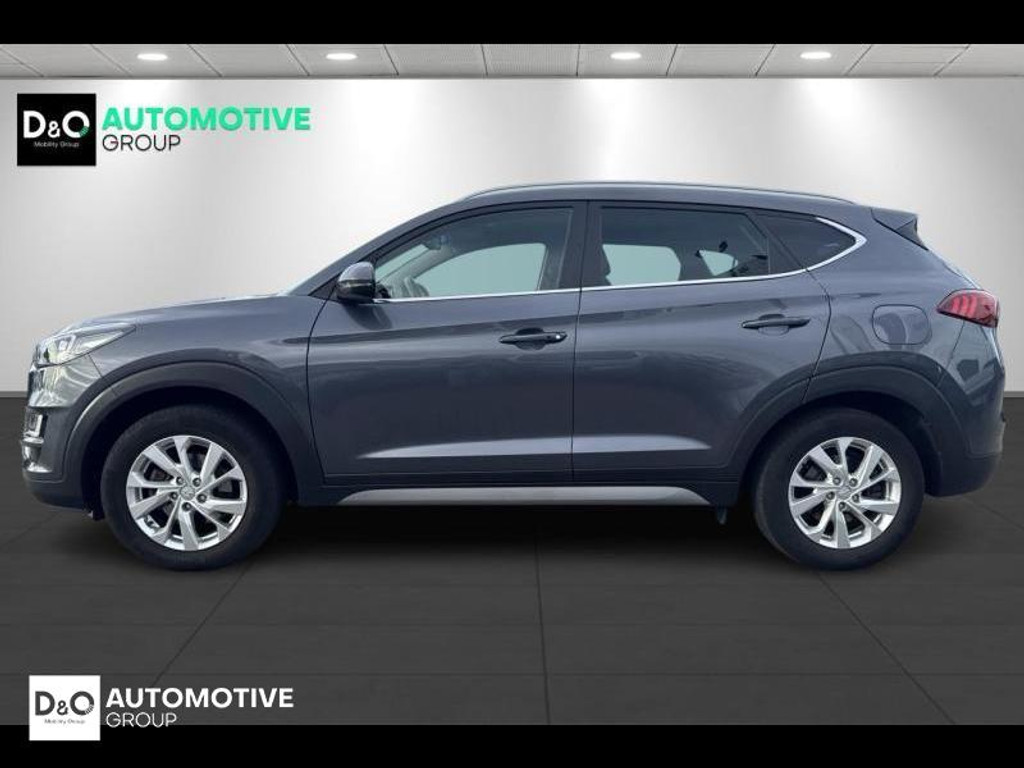 57088835-3.jpg